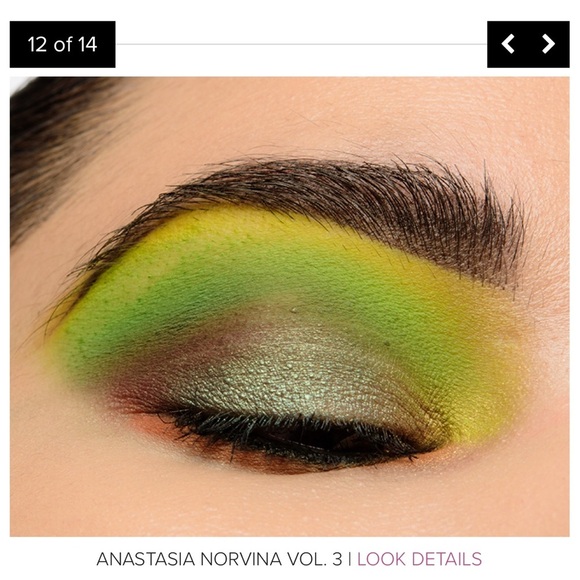 Anastasia Beverly Hills Norvina Vol 3 Pro Pigment Palette - Picture 12 of 15